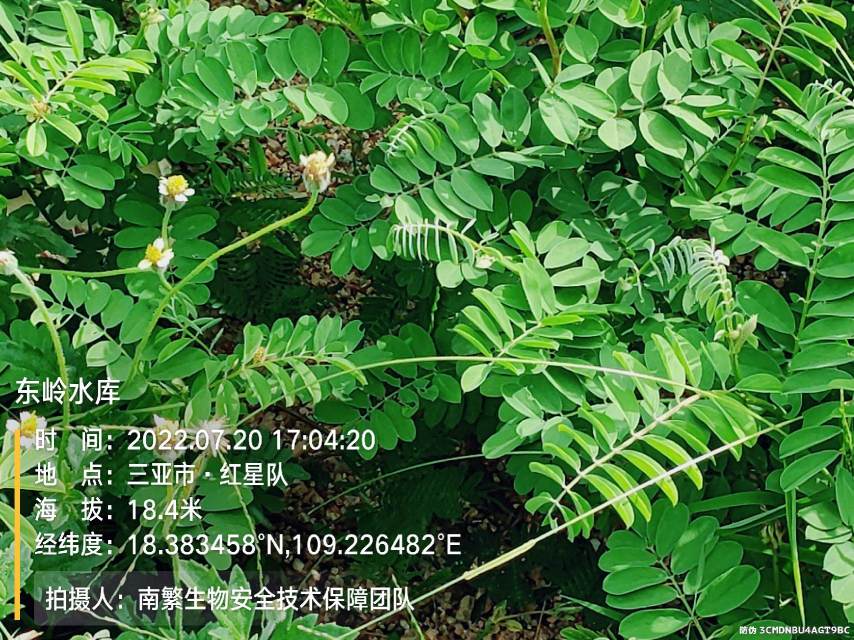 东岭水库