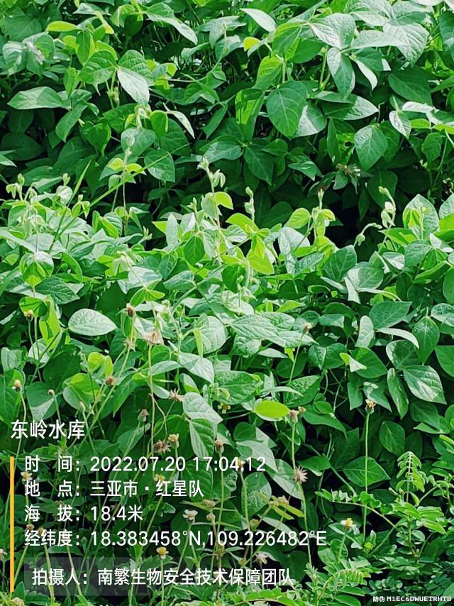 东岭水库