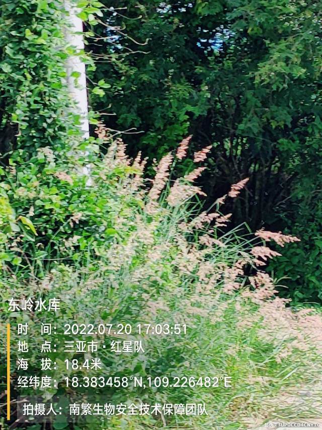 东岭水库