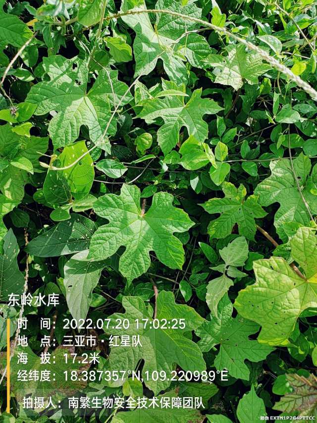 东岭水库