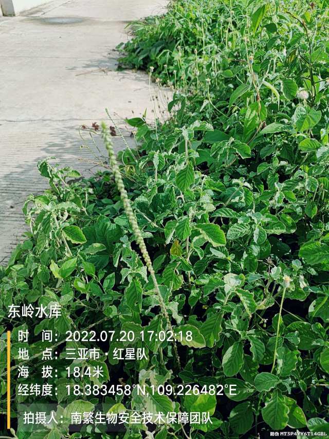 东岭水库