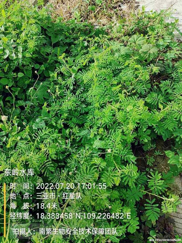 东岭水库