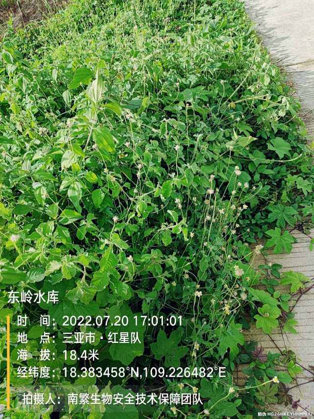 东岭水库