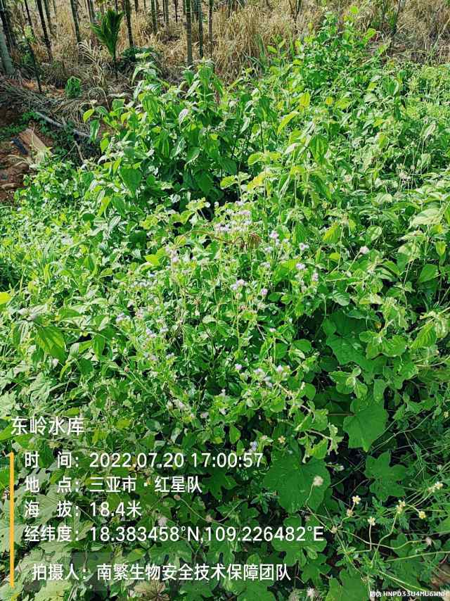 东岭水库