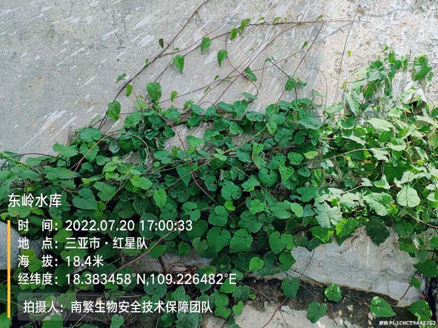 东岭水库