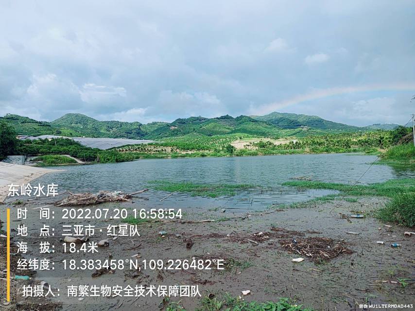 东岭水库