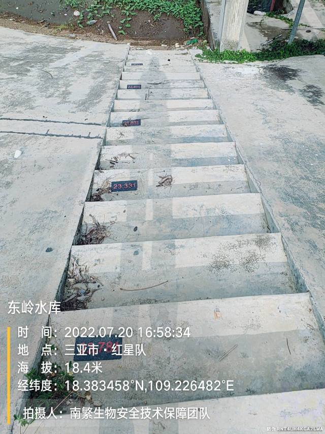 东岭水库