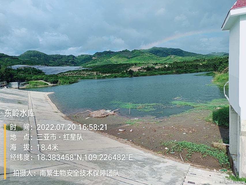 东岭水库