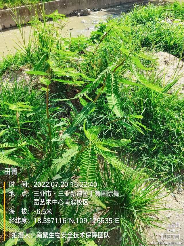 田菁