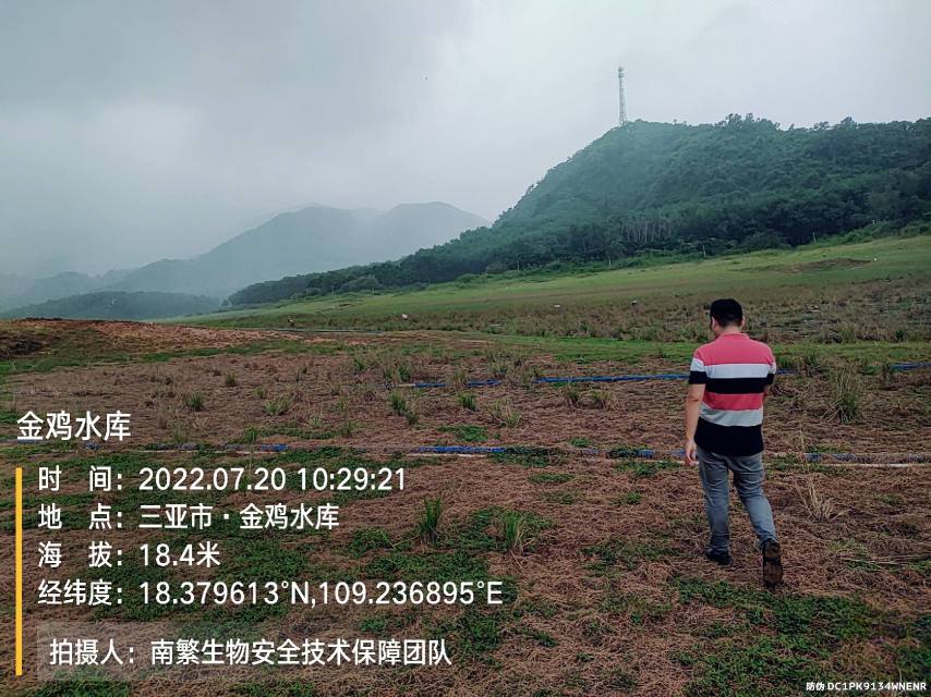 金鸡水库
