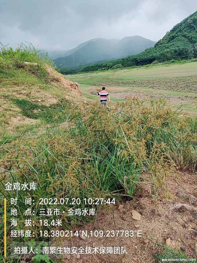 金鸡水库