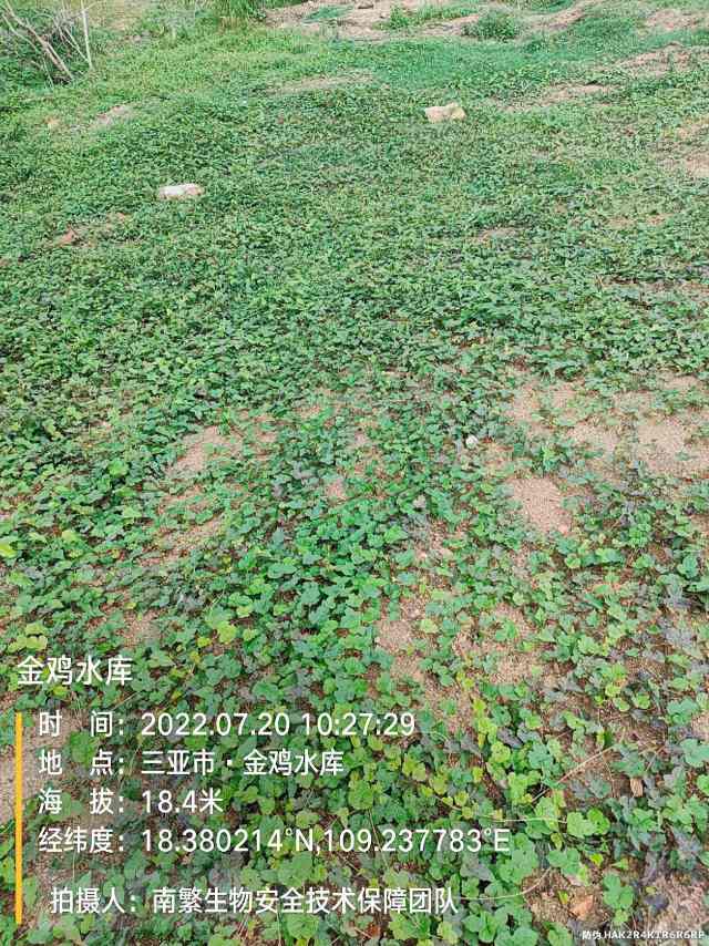 金鸡水库