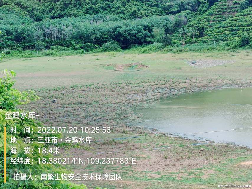 金鸡水库-