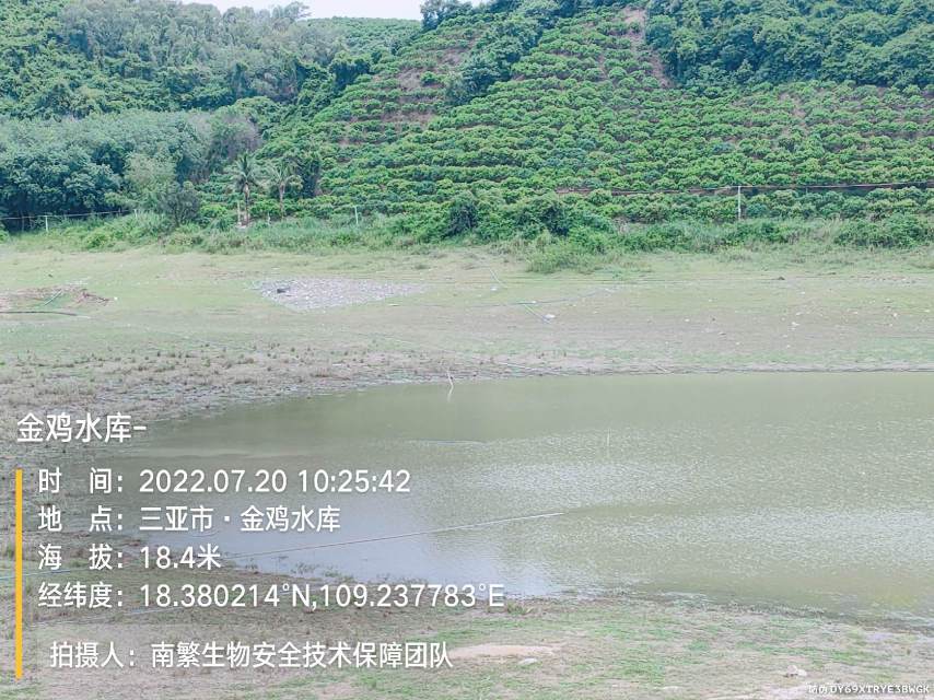 金鸡水库-
