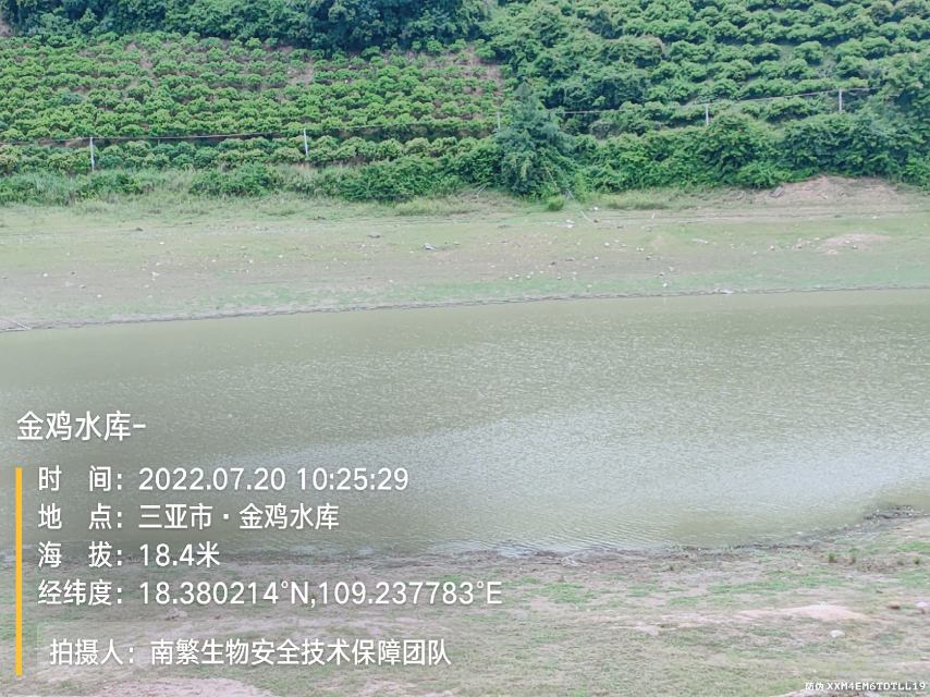 金鸡水库-