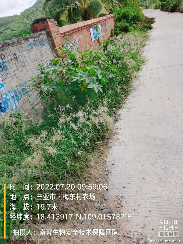 请输入内容…