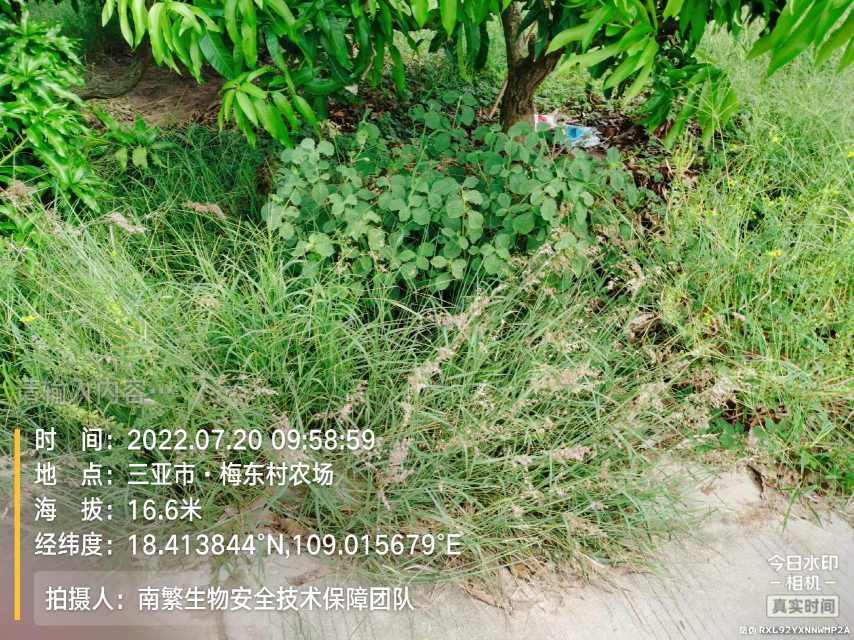 请输入内容…