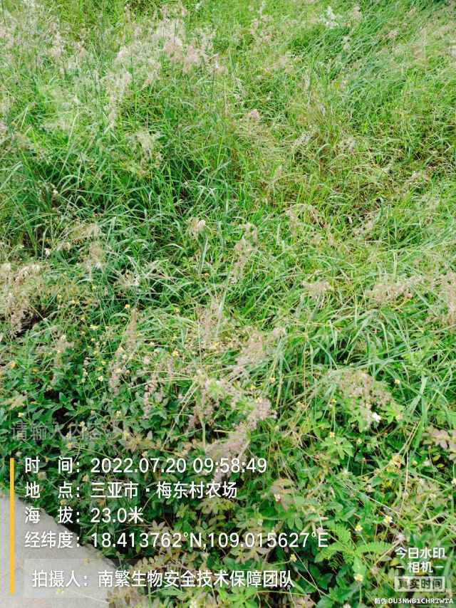 请输入内容…