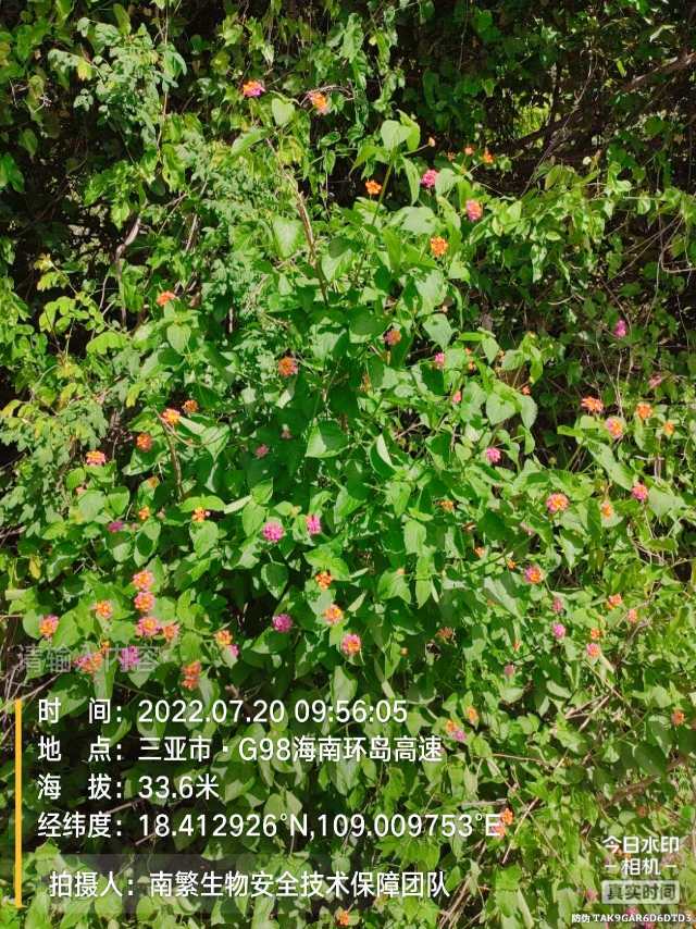 请输入内容…