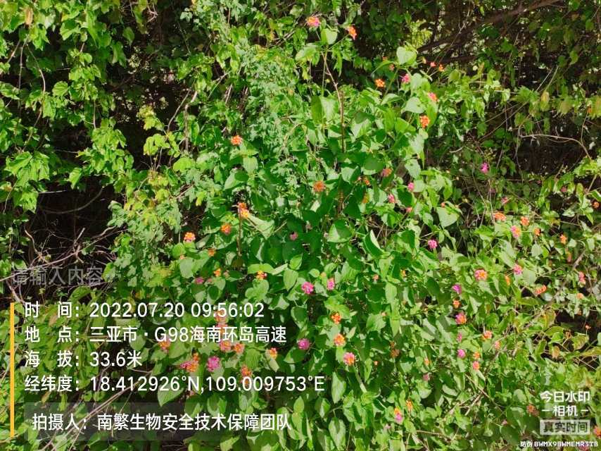 请输入内容…