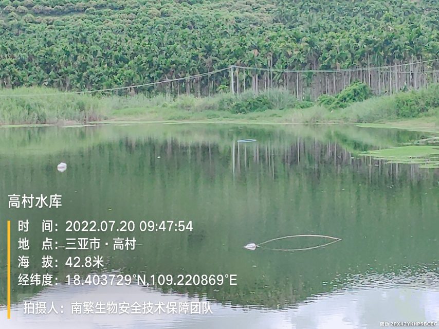 高村水库