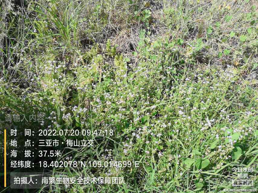 请输入内容…