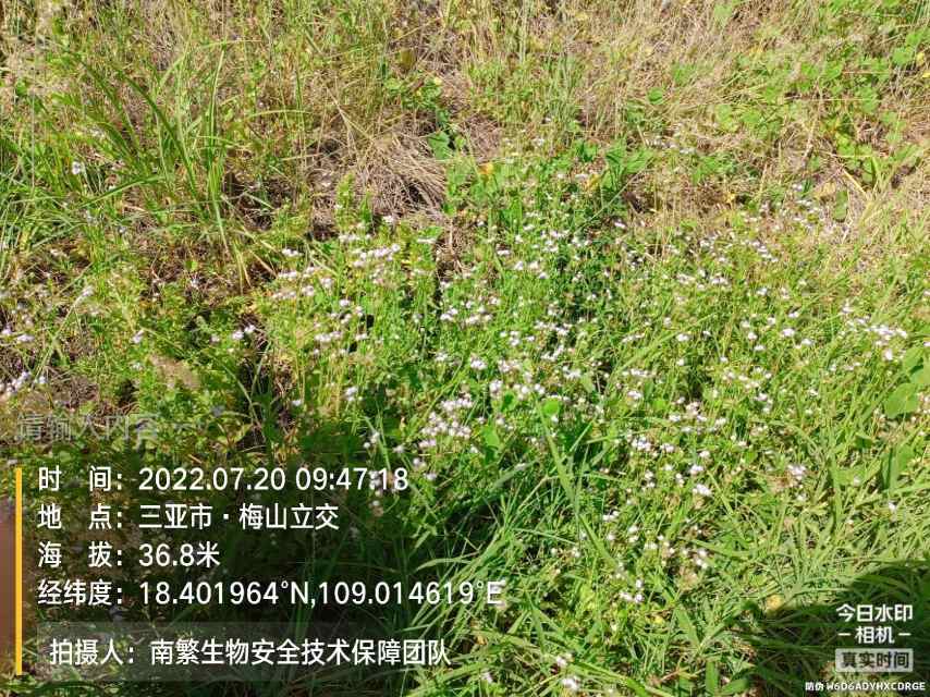 请输入内容…