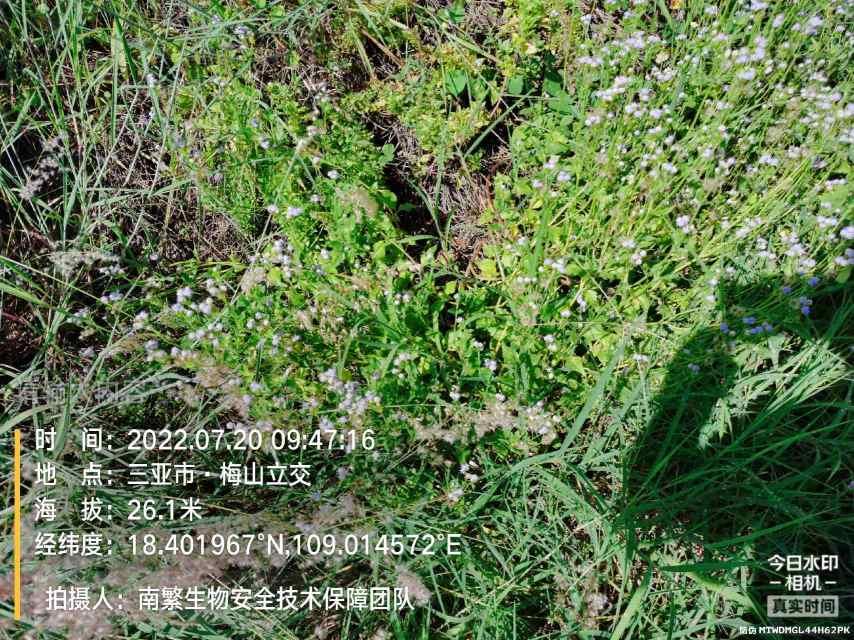 请输入内容…
