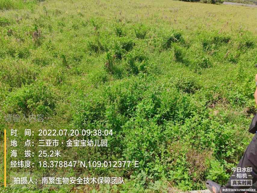 请输入内容…
