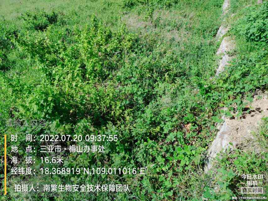 请输入内容…