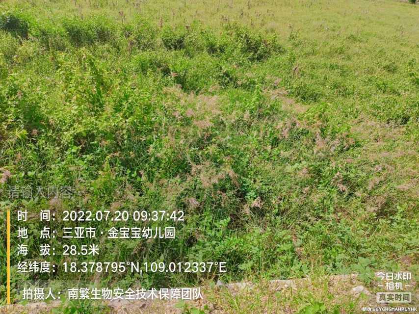 请输入内容…