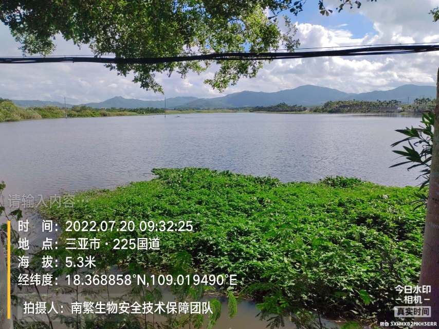 请输入内容…