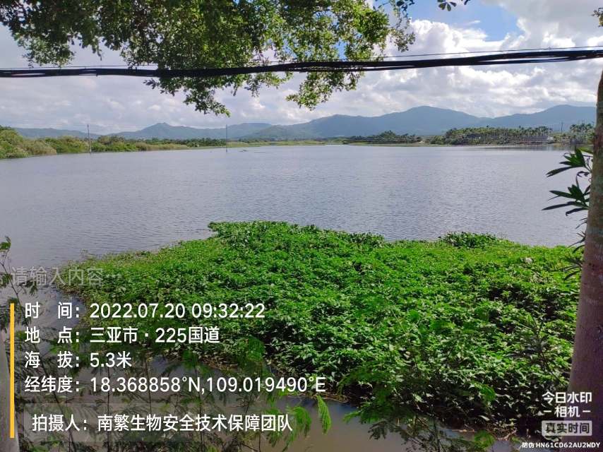 请输入内容…
