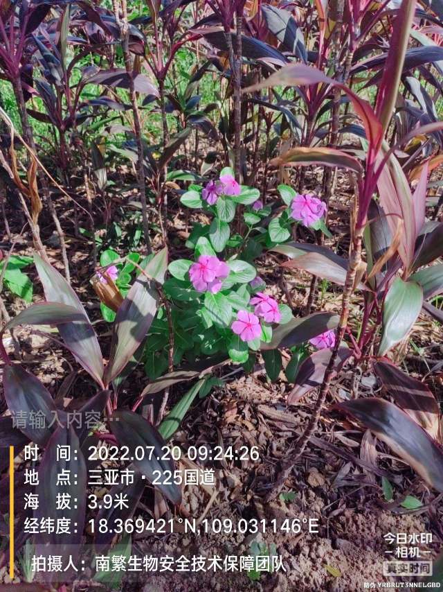 请输入内容…