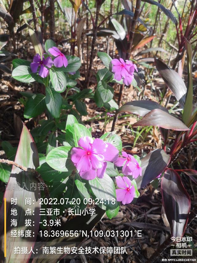 请输入内容…
