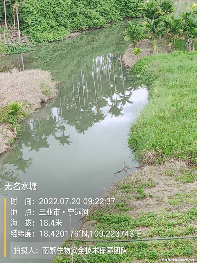 无名水塘