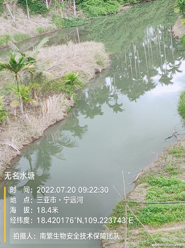 无名水塘