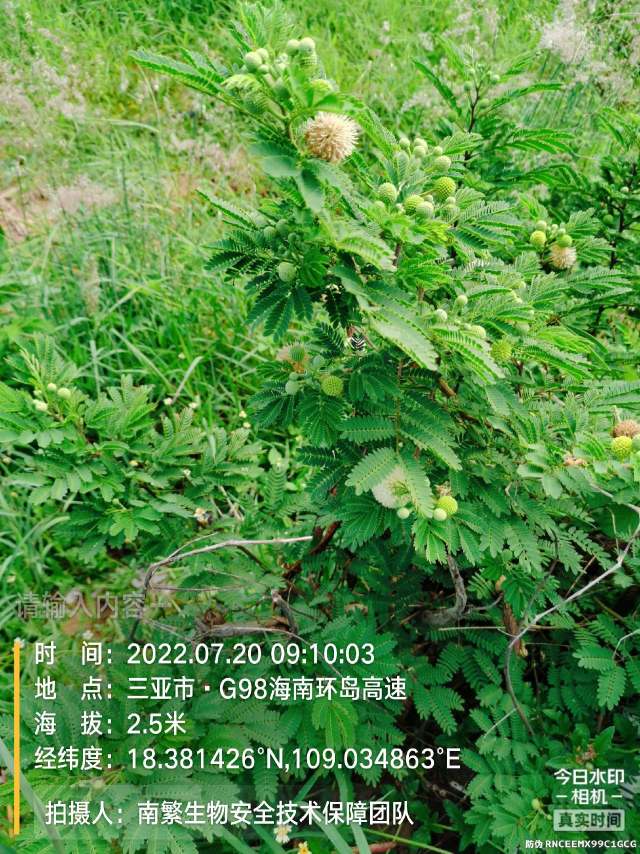 请输入内容…
