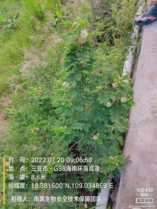 请输入内容…
