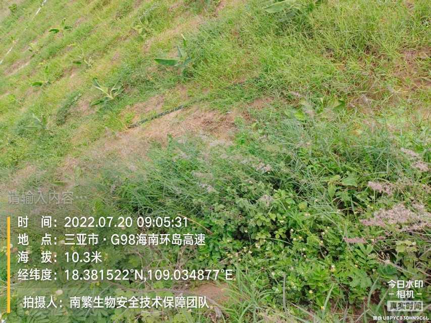 请输入内容…