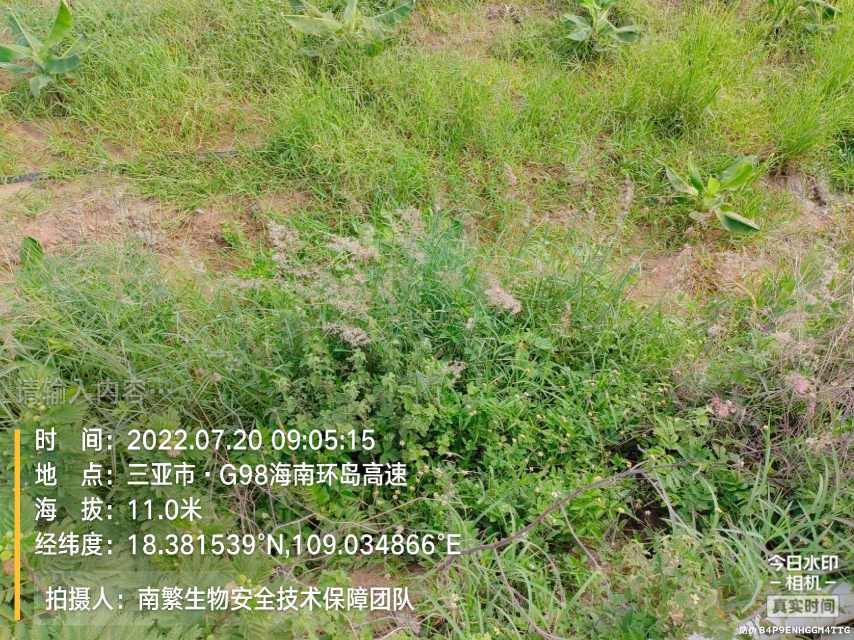 请输入内容…