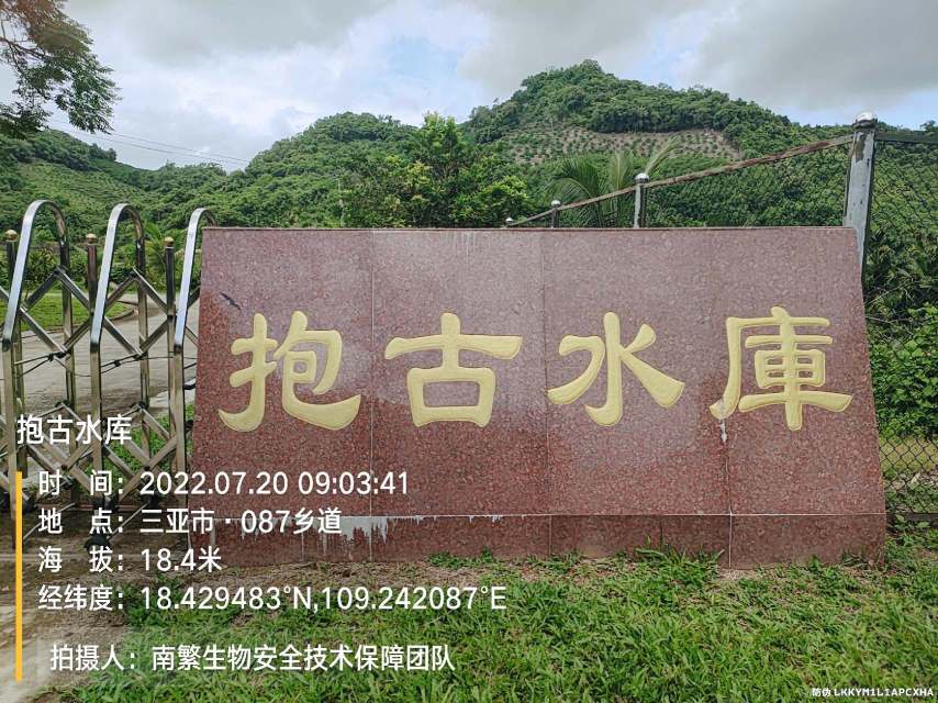 抱古水库