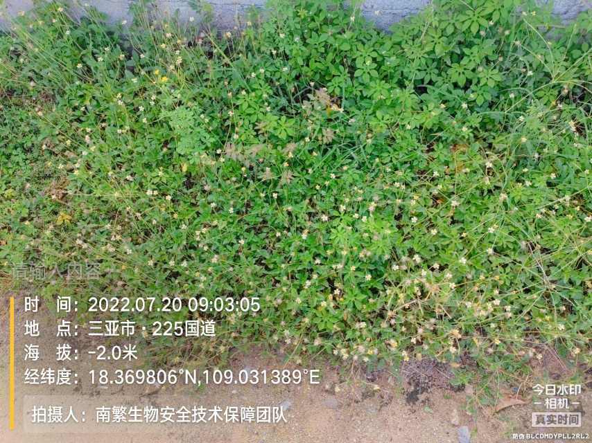 请输入内容…