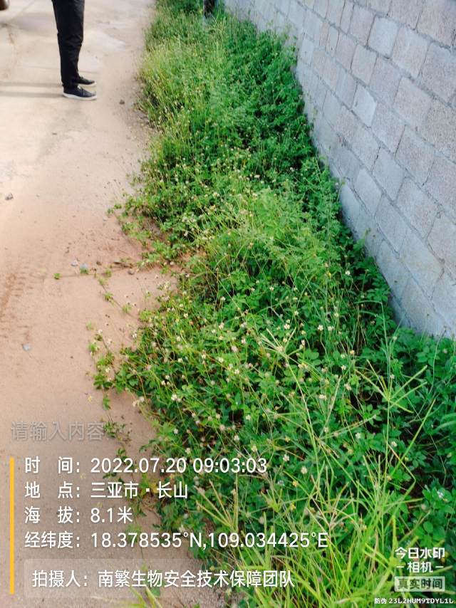 请输入内容…