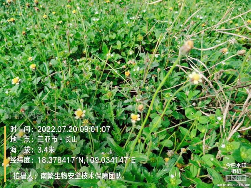 请输入内容…