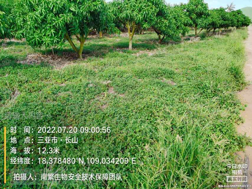 请输入内容…