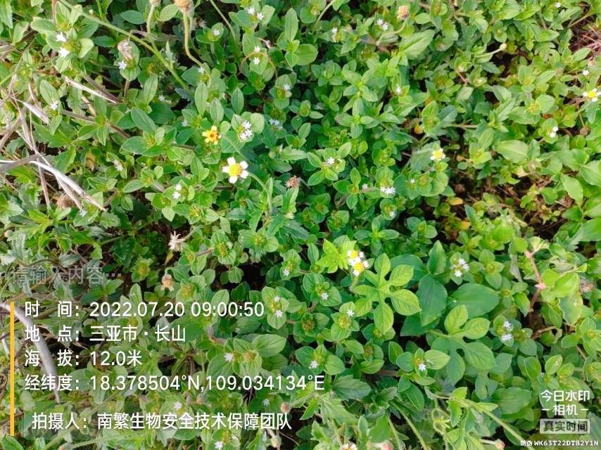 请输入内容…