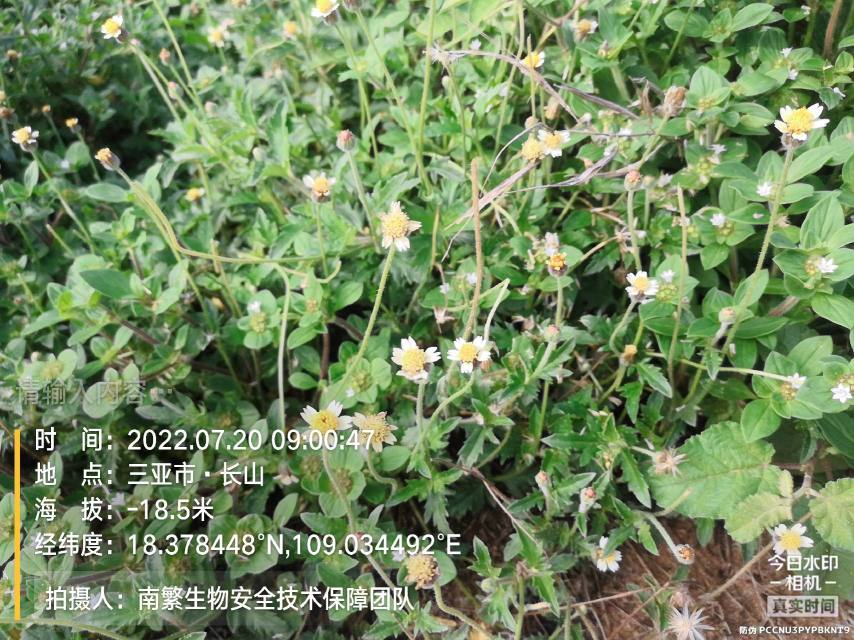 请输入内容…