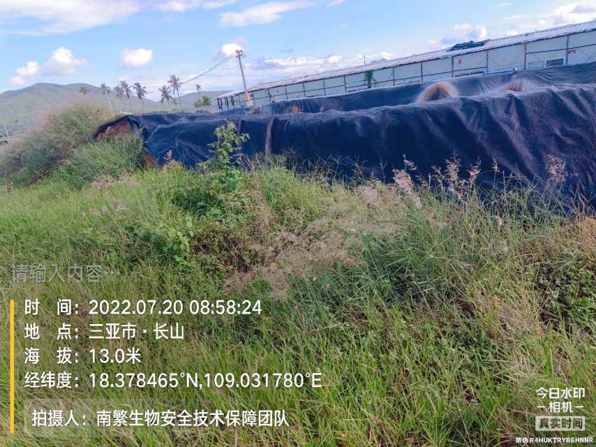 请输入内容…