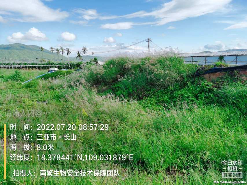 请输入内容…